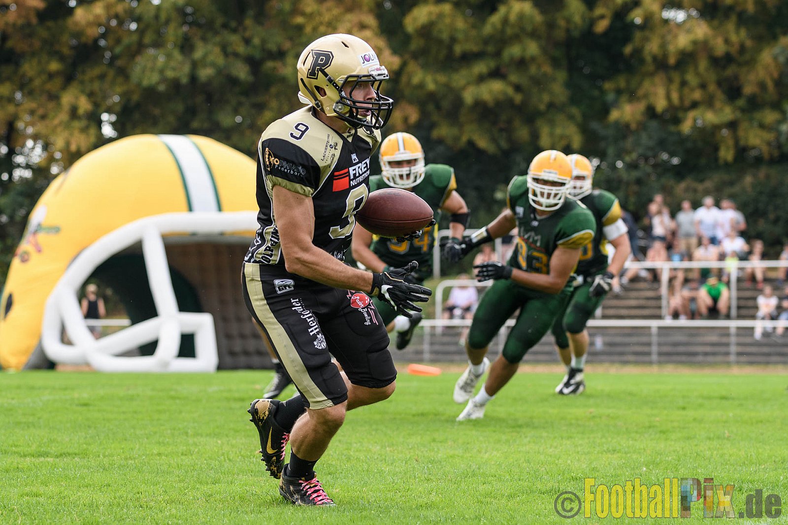 Cologne Crocodiles vs. Paderborn Dolphins - 28.08.2016 GFL2: Cologne Crocodiles vs. Paderborn Dolphins (56:16)
