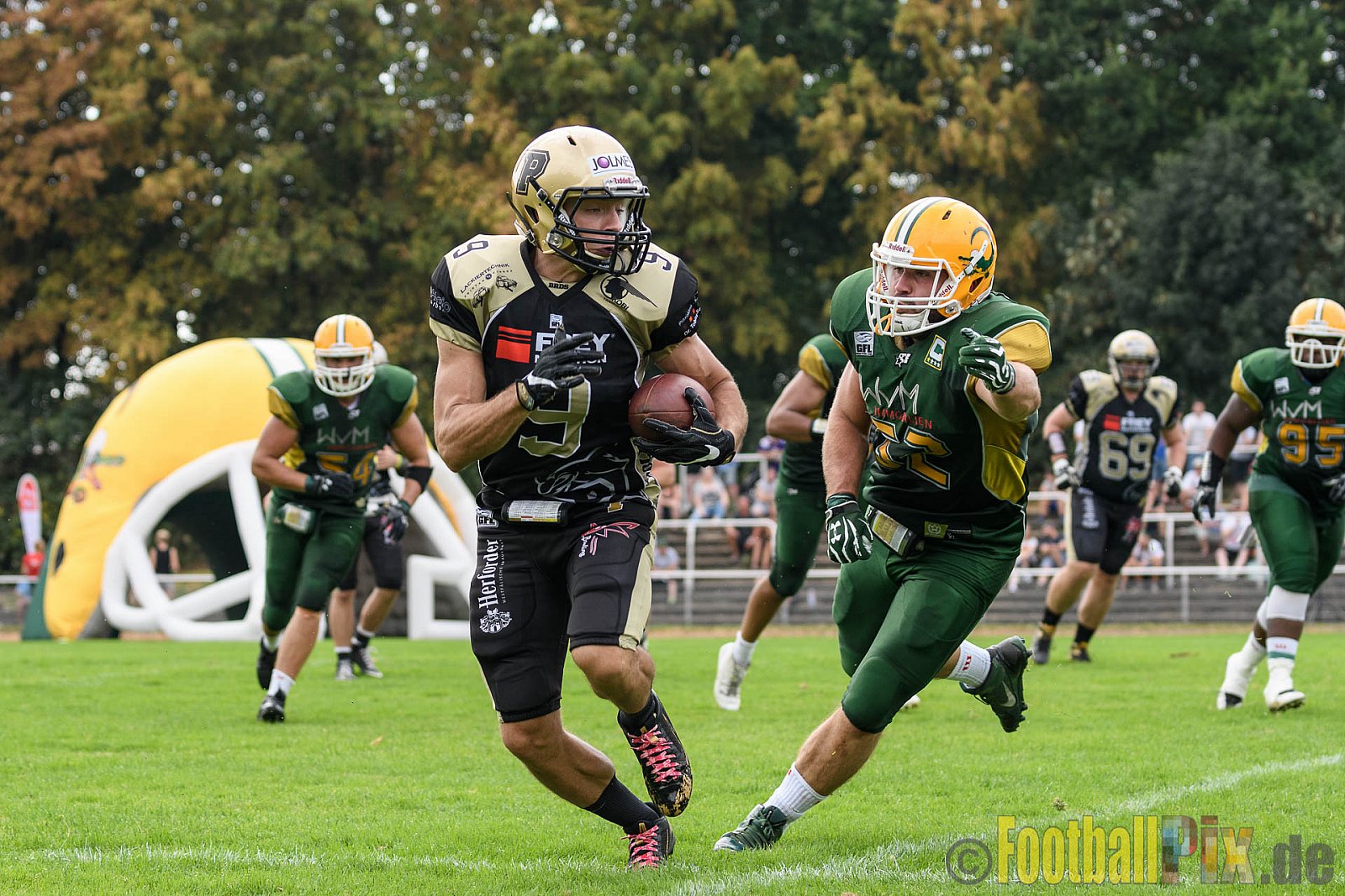 Cologne Crocodiles vs. Paderborn Dolphins - 28.08.2016 GFL2: Cologne Crocodiles vs. Paderborn Dolphins (56:16)