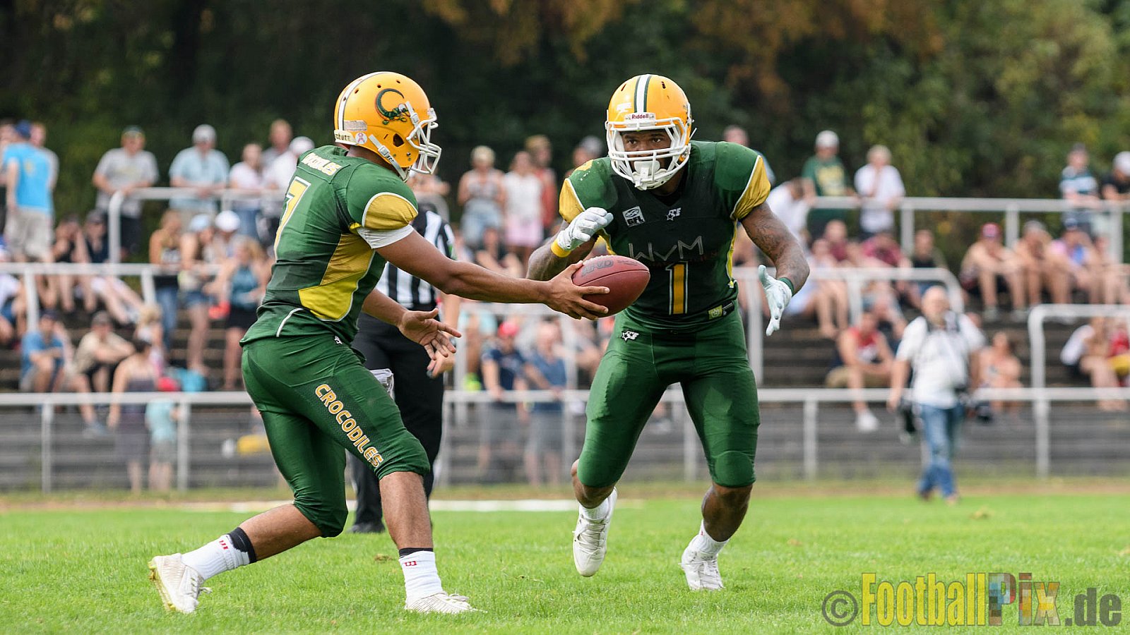 Cologne Crocodiles vs. Paderborn Dolphins - 28.08.2016 GFL2: Cologne Crocodiles vs. Paderborn Dolphins (56:16)