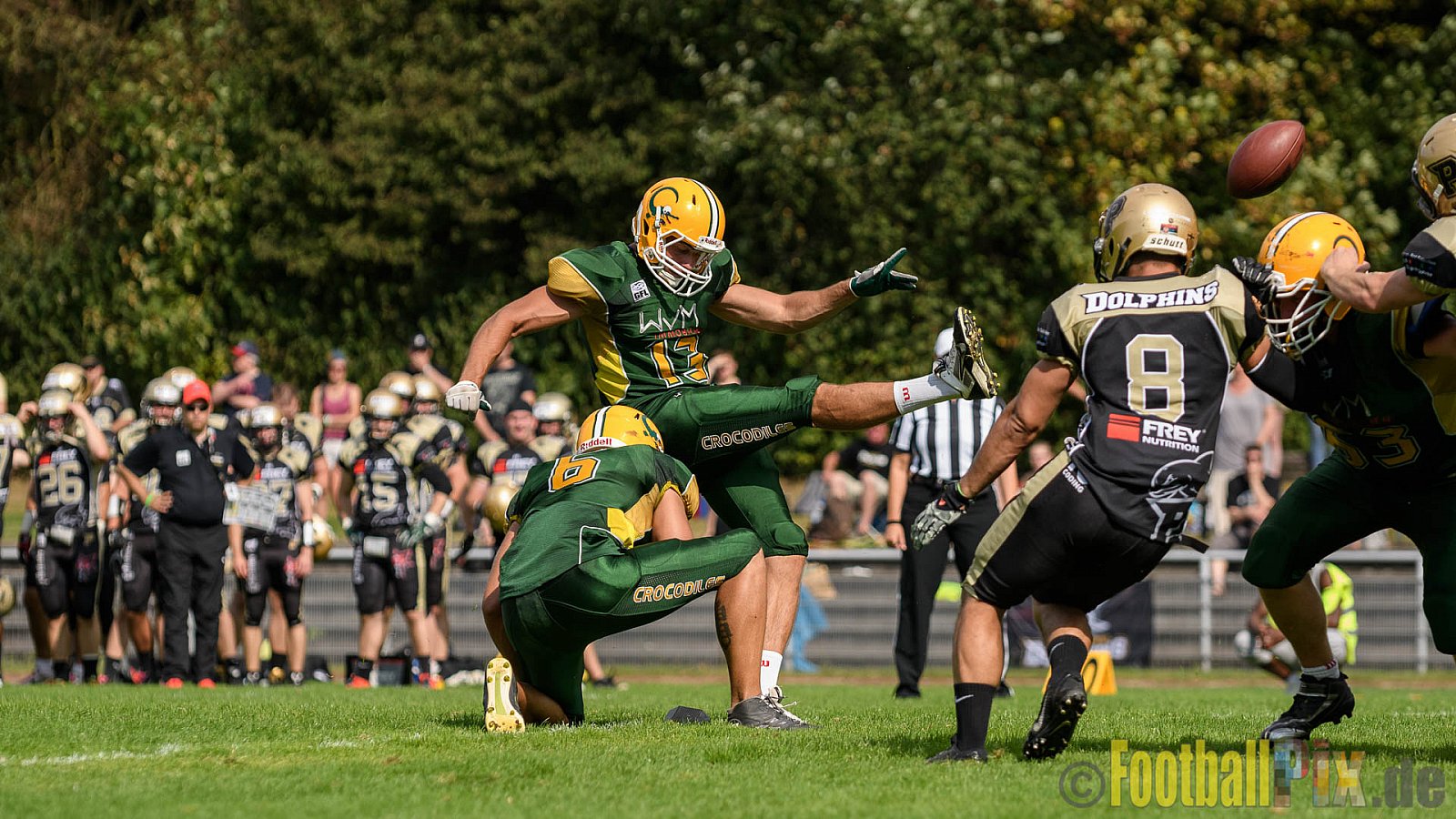 Cologne Crocodiles vs. Paderborn Dolphins - 28.08.2016 GFL2: Cologne Crocodiles vs. Paderborn Dolphins (56:16)