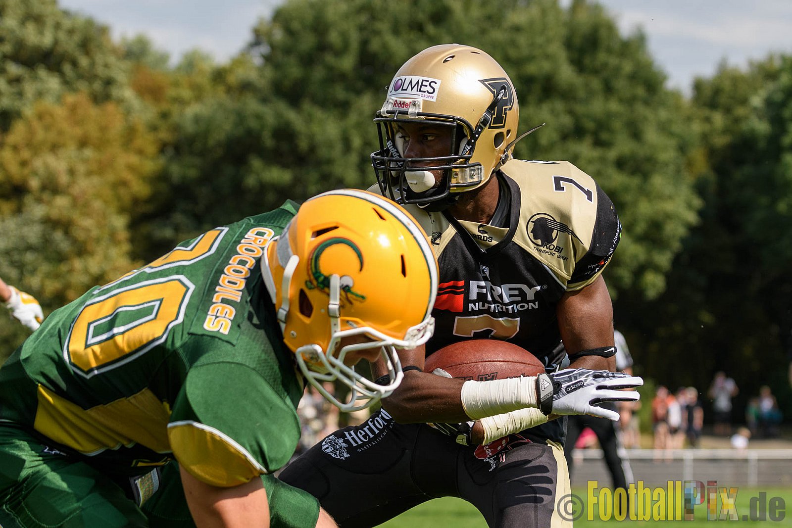Cologne Crocodiles vs. Paderborn Dolphins - 28.08.2016 GFL2: Cologne Crocodiles vs. Paderborn Dolphins (56:16)
