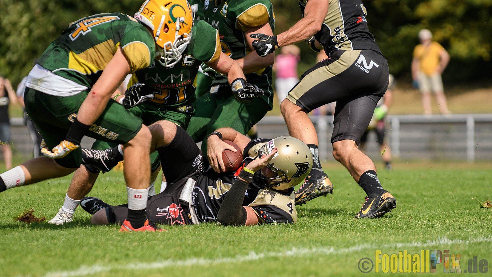 Cologne Crocodiles vs. Paderborn Dolphins - 28.08.2016 GFL2: Cologne Crocodiles vs. Paderborn Dolphins (56:16)