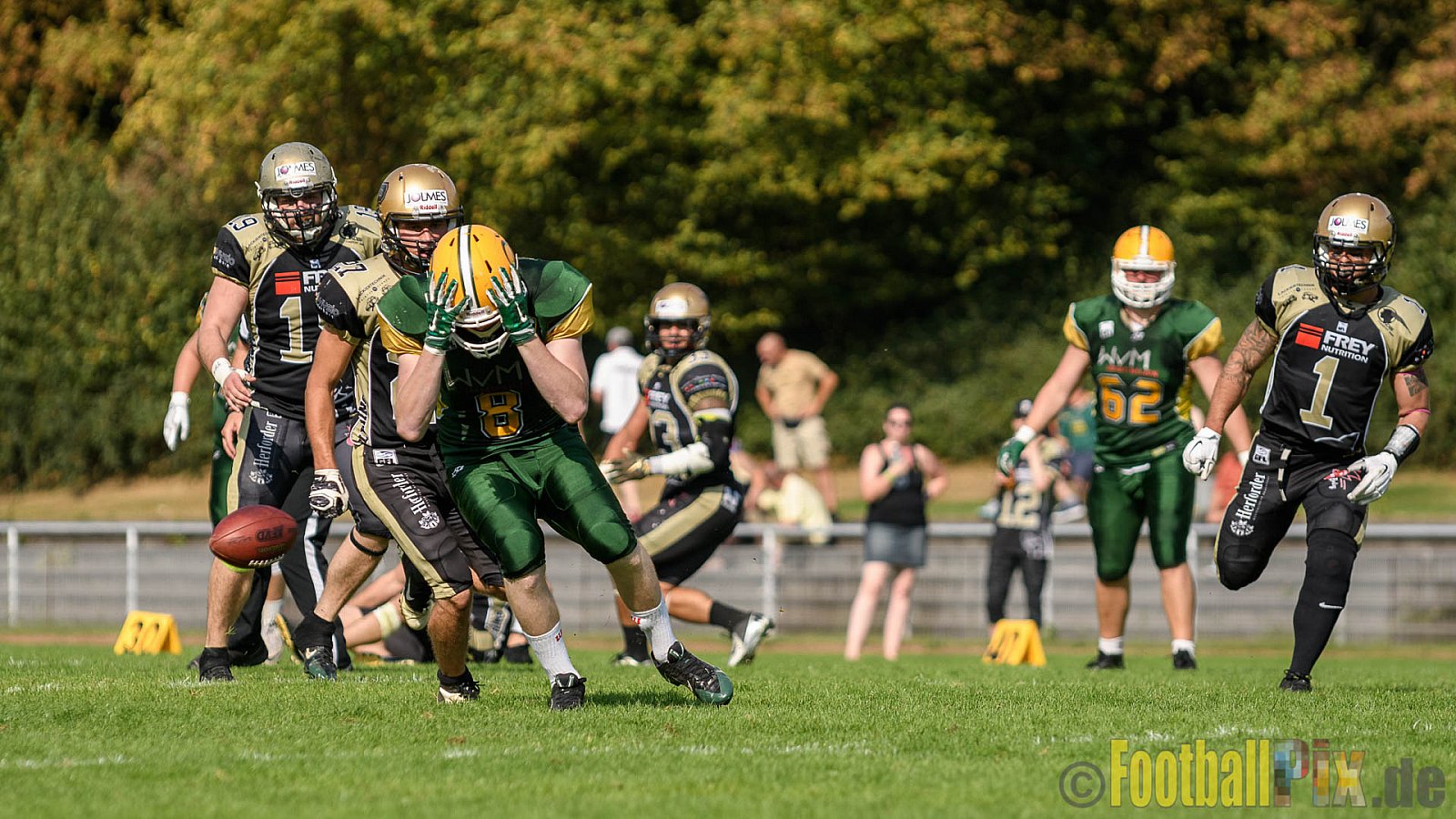 Cologne Crocodiles vs. Paderborn Dolphins - 28.08.2016 GFL2: Cologne Crocodiles vs. Paderborn Dolphins (56:16)