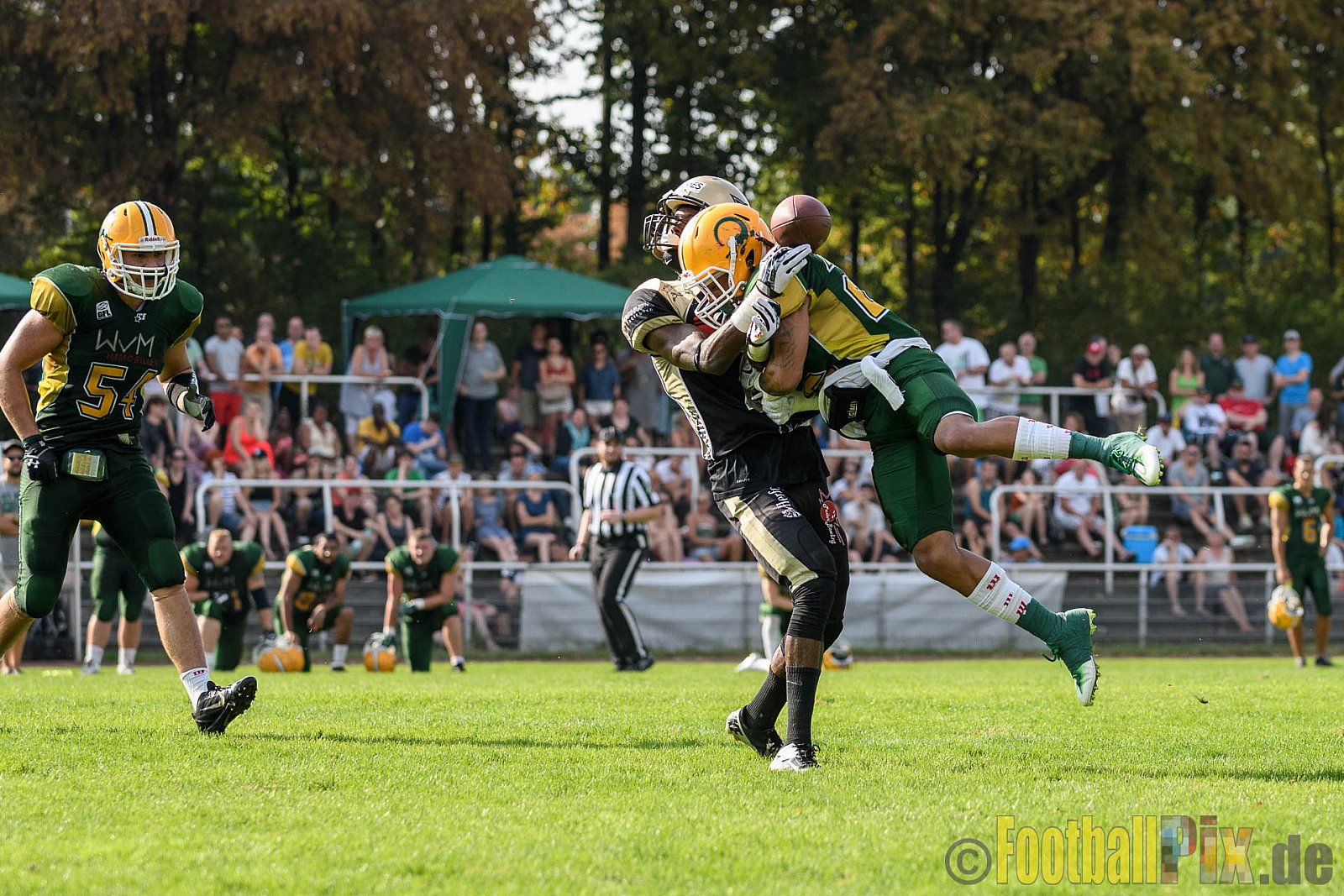Cologne Crocodiles vs. Paderborn Dolphins - 28.08.2016 GFL2: Cologne Crocodiles vs. Paderborn Dolphins (56:16)