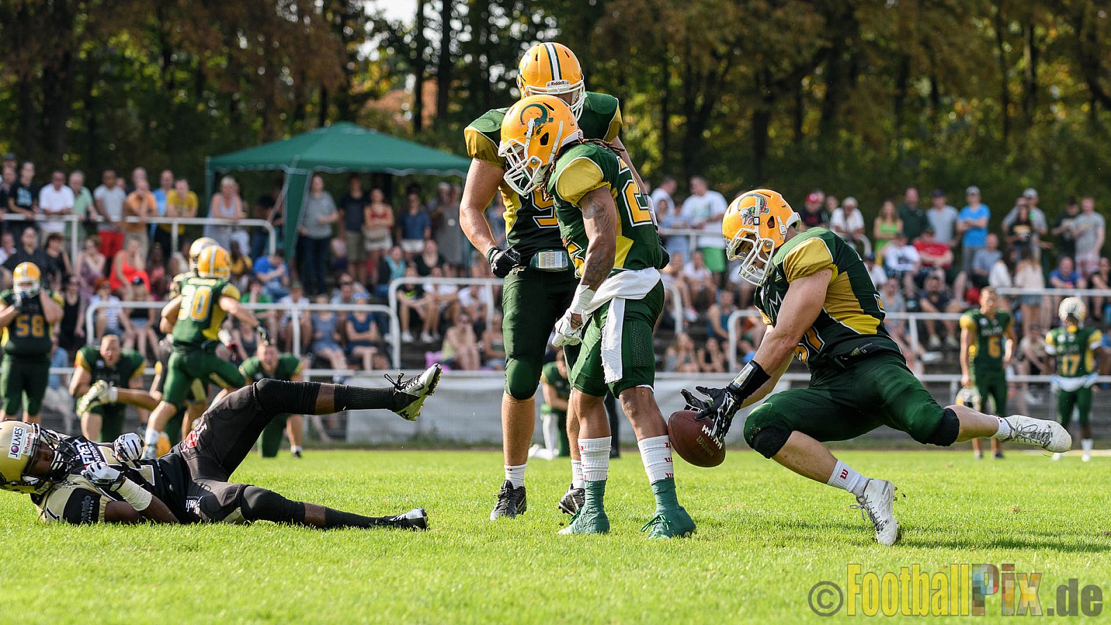 Cologne Crocodiles vs. Paderborn Dolphins - 28.08.2016 GFL2: Cologne Crocodiles vs. Paderborn Dolphins (56:16)