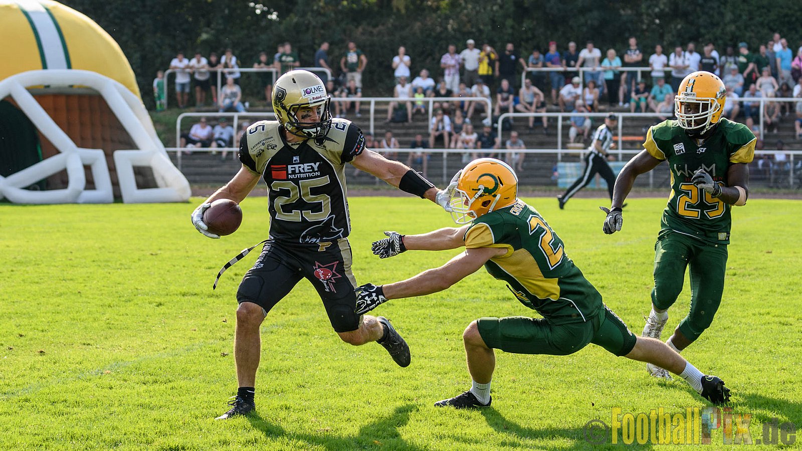 Cologne Crocodiles vs. Paderborn Dolphins - 28.08.2016 GFL2: Cologne Crocodiles vs. Paderborn Dolphins (56:16)