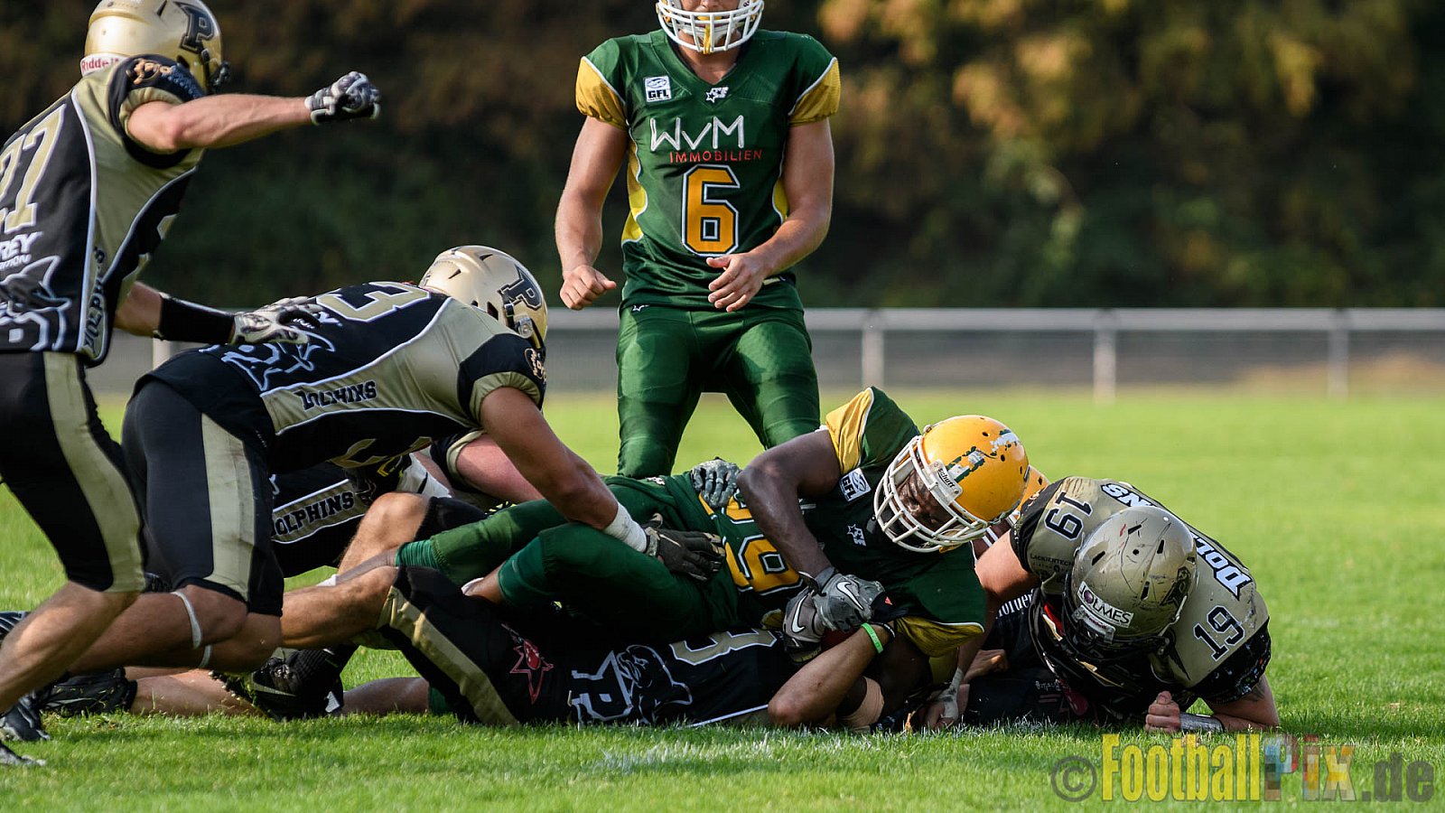 Cologne Crocodiles vs. Paderborn Dolphins - 28.08.2016 GFL2: Cologne Crocodiles vs. Paderborn Dolphins (56:16)