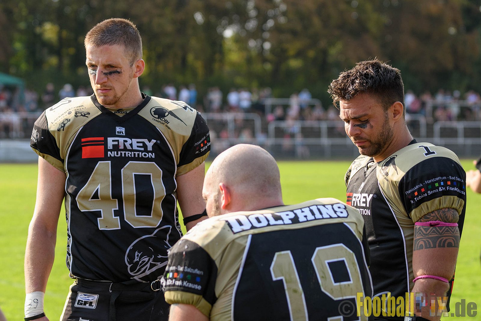 Cologne Crocodiles vs. Paderborn Dolphins - 28.08.2016 GFL2: Cologne Crocodiles vs. Paderborn Dolphins (56:16)