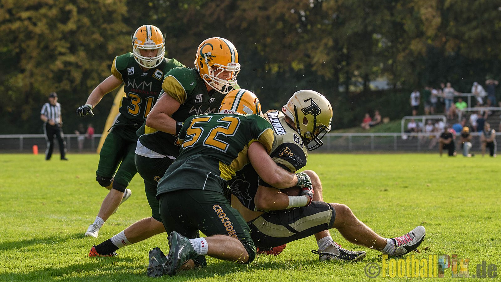 Cologne Crocodiles vs. Paderborn Dolphins - 28.08.2016 GFL2: Cologne Crocodiles vs. Paderborn Dolphins (56:16)