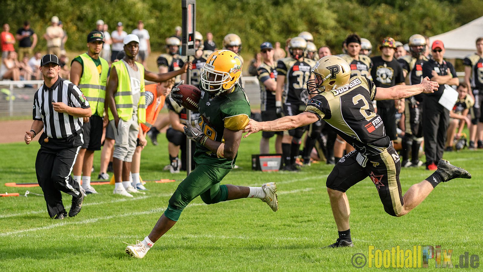 Cologne Crocodiles vs. Paderborn Dolphins - 28.08.2016 GFL2: Cologne Crocodiles vs. Paderborn Dolphins (56:16)