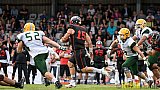 Düsseldorf Panther vs. Cologne Crocodiles - 17.09.2016 GFL Nord: Düsseldorf Panther vs. Cologne Crocodiles (0:34)