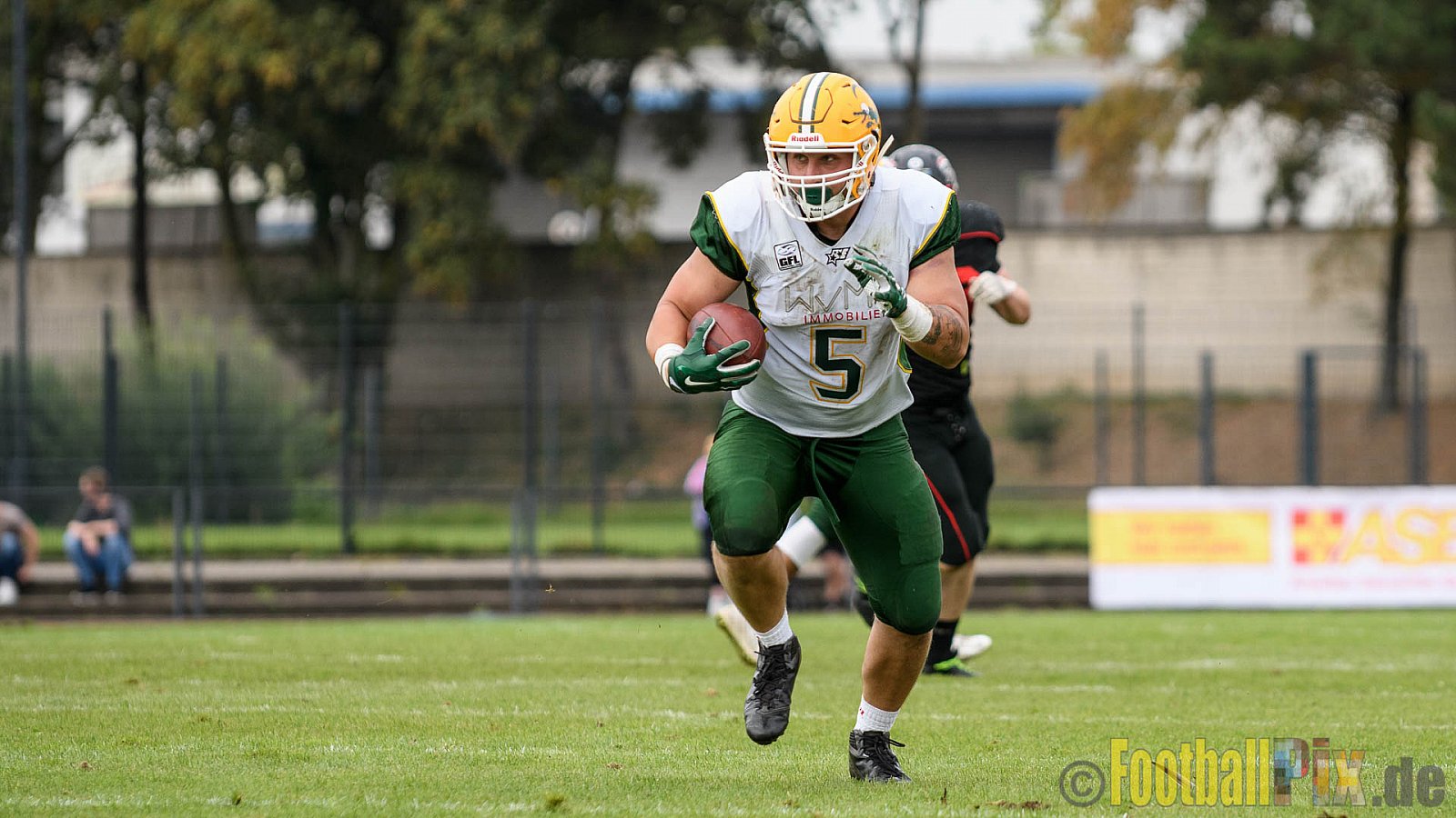 Düsseldorf Panther vs. Cologne Crocodiles - 17.09.2016 GFL Nord: Düsseldorf Panther vs. Cologne Crocodiles (0:34)