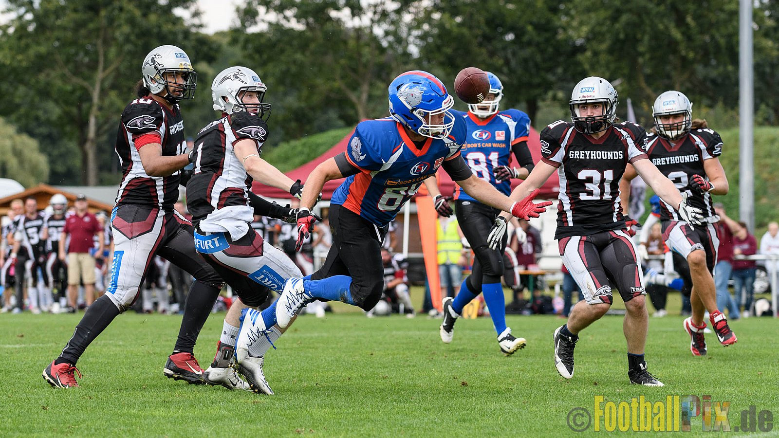 Bocholt Rhinos vs. Wuppertal Greyhounds - 18.09.2016 VL NRW: Bocholt Rhinos vs. Wuppertal Greyhounds (12:53)