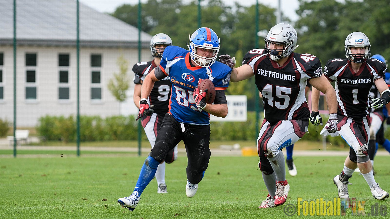 Bocholt Rhinos vs. Wuppertal Greyhounds - 18.09.2016 VL NRW: Bocholt Rhinos vs. Wuppertal Greyhounds (12:53)