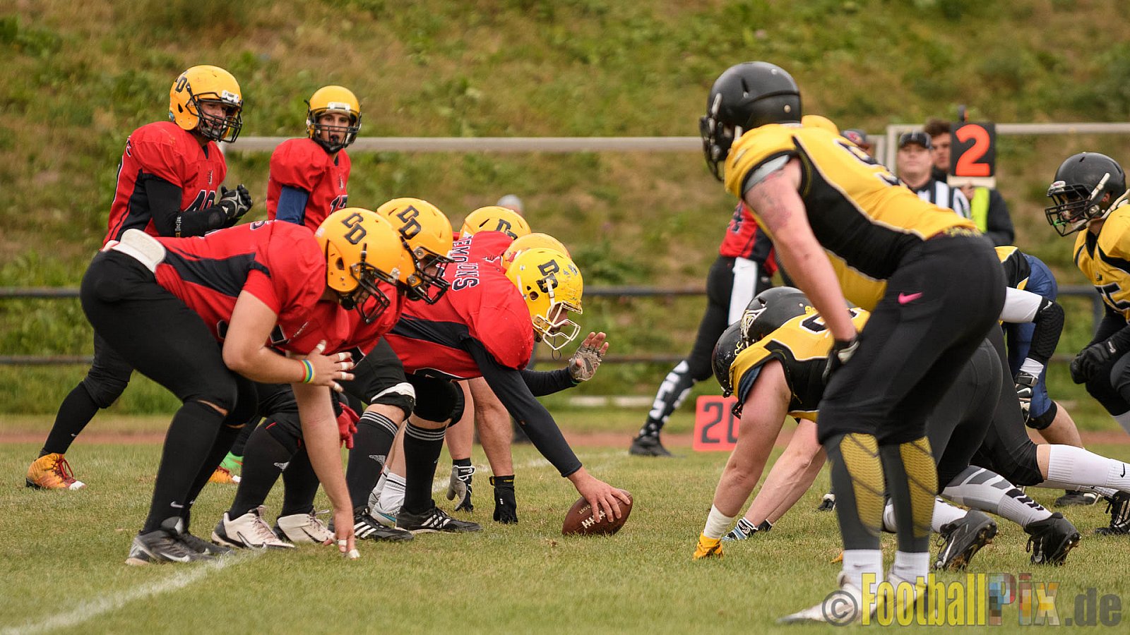 Duisburg Thunderbirds vs. Düren Demons - 02.10.2016 VL NRW: Duisburg Thunderbirds vs. Düren Demons (42:0)
