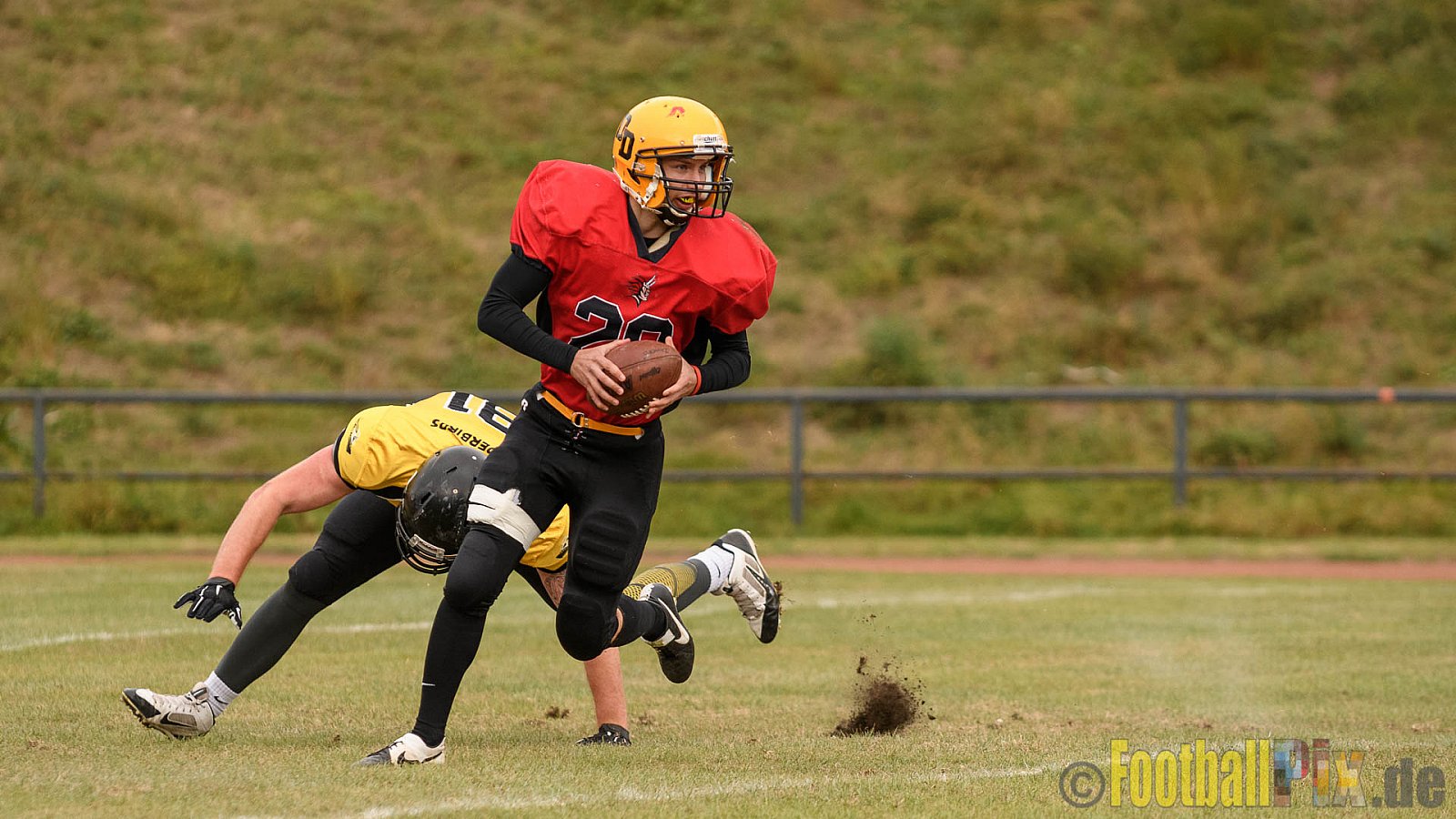 Duisburg Thunderbirds vs. Düren Demons - 02.10.2016 VL NRW: Duisburg Thunderbirds vs. Düren Demons (42:0)
