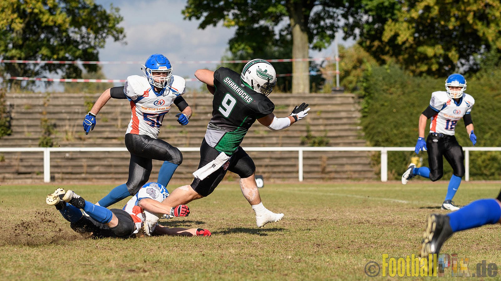 Mülheim Shamrocks Herren vs. Bocholt Rhinos - 03.10.2016 VL NRW: Mülheim Shamrocks Herren vs. Bocholt Rhinos (35:20)