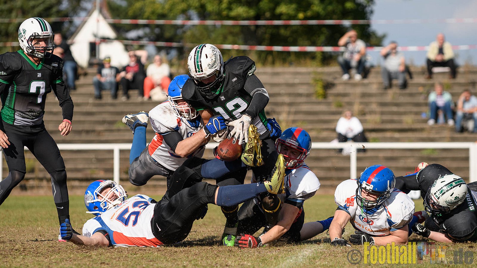 Mülheim Shamrocks Herren vs. Bocholt Rhinos - 03.10.2016 VL NRW: Mülheim Shamrocks Herren vs. Bocholt Rhinos (35:20)