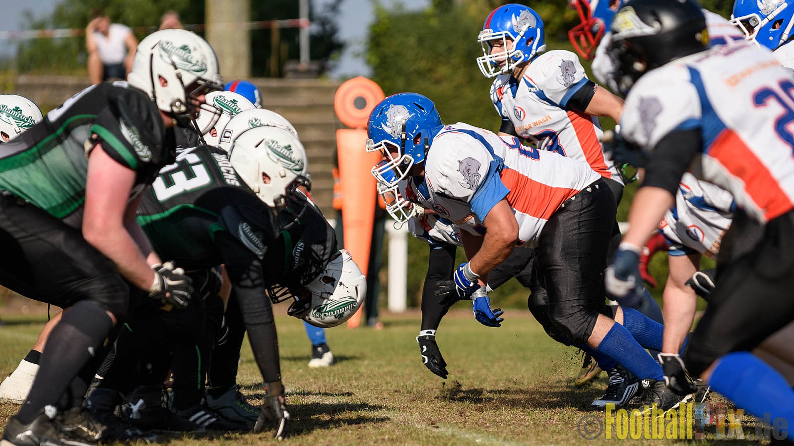 Mülheim Shamrocks Herren vs. Bocholt Rhinos - 03.10.2016 VL NRW: Mülheim Shamrocks Herren vs. Bocholt Rhinos (35:20)