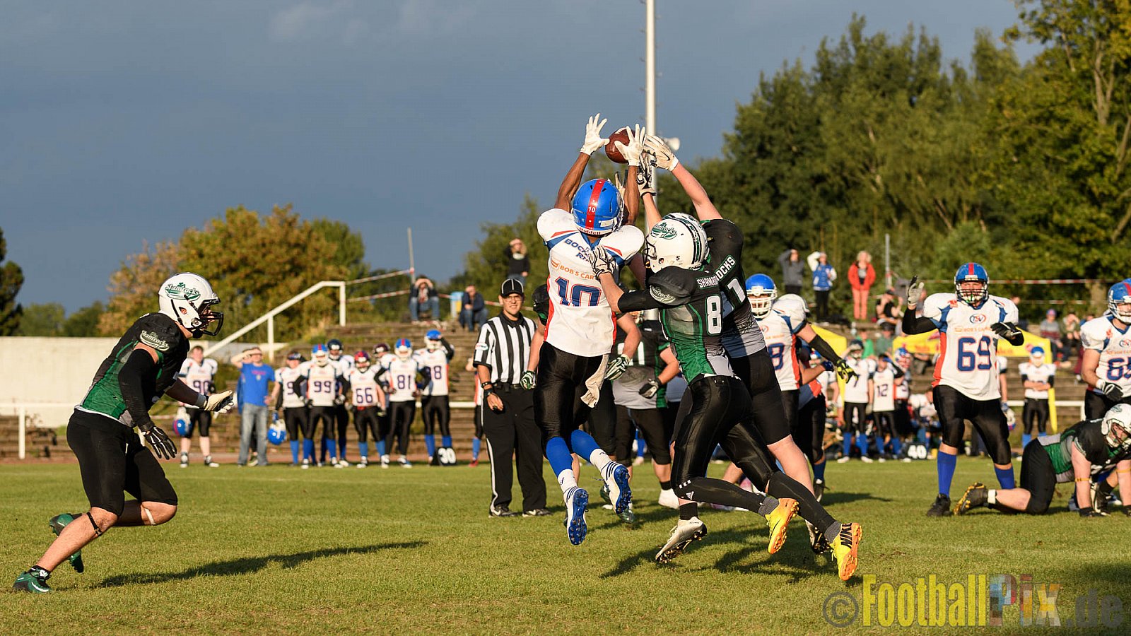 Mülheim Shamrocks Herren vs. Bocholt Rhinos - 03.10.2016 VL NRW: Mülheim Shamrocks Herren vs. Bocholt Rhinos (35:20)