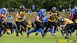 Bocholt Rhinos vs. Münster Blackhawks - 09.10.2016 VL NRW: Bocholt Rhinos vs. Münster Blackhawks (0:41)