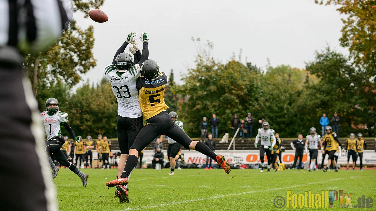 Rheine Raptors vs. Münster Blackhawks - 15.10.2016 VL NRW: Rheine Raptors vs. Münster Blackhawks (0:26)