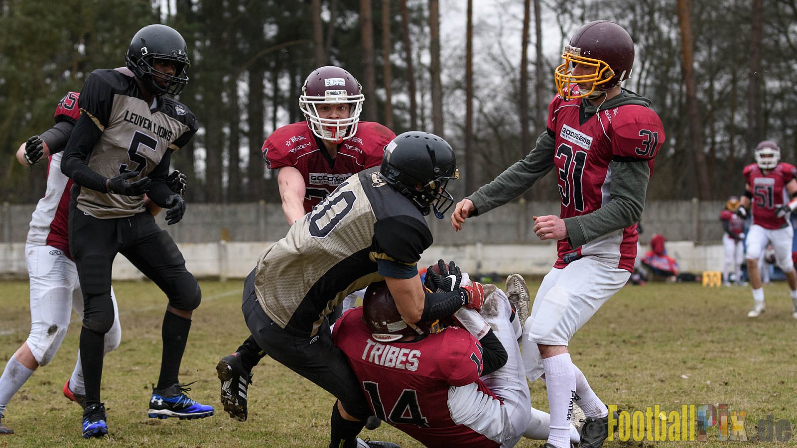 Leuven Lions vs. Izegem Tribes - 19.02.2017 Season Opener (FAFL Belgien): Leuven Lions vs. Izegem Tribes (13:8)