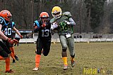 Limburg Shotguns vs. Waasland Wolves - 19.02.2017 Season Opener (FAFL Belgien): Limburg Shotguns vs. Waasland Wolves (44:0)
