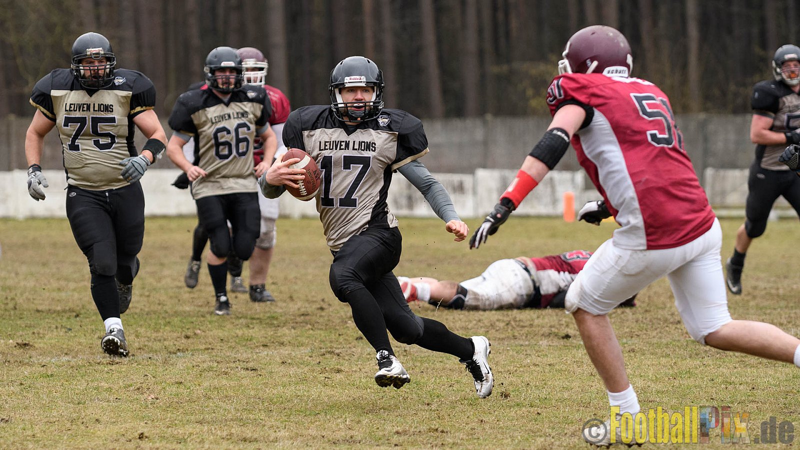 Leuven Lions vs. Izegem Tribes - 19.02.2017 Season Opener (FAFL Belgien): Leuven Lions vs. Izegem Tribes (13:8)