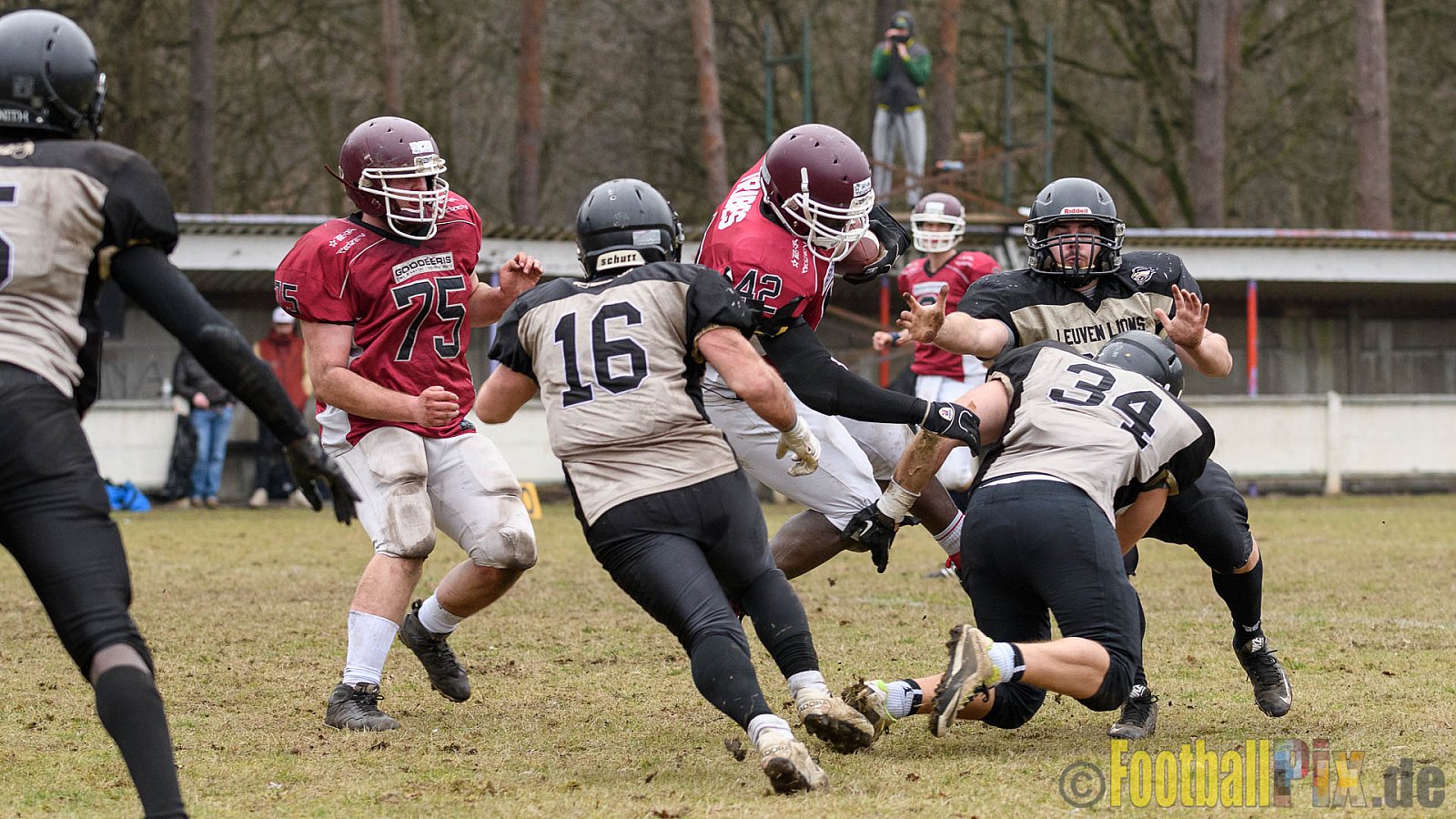 Leuven Lions vs. Izegem Tribes - 19.02.2017 Season Opener (FAFL Belgien): Leuven Lions vs. Izegem Tribes (13:8)