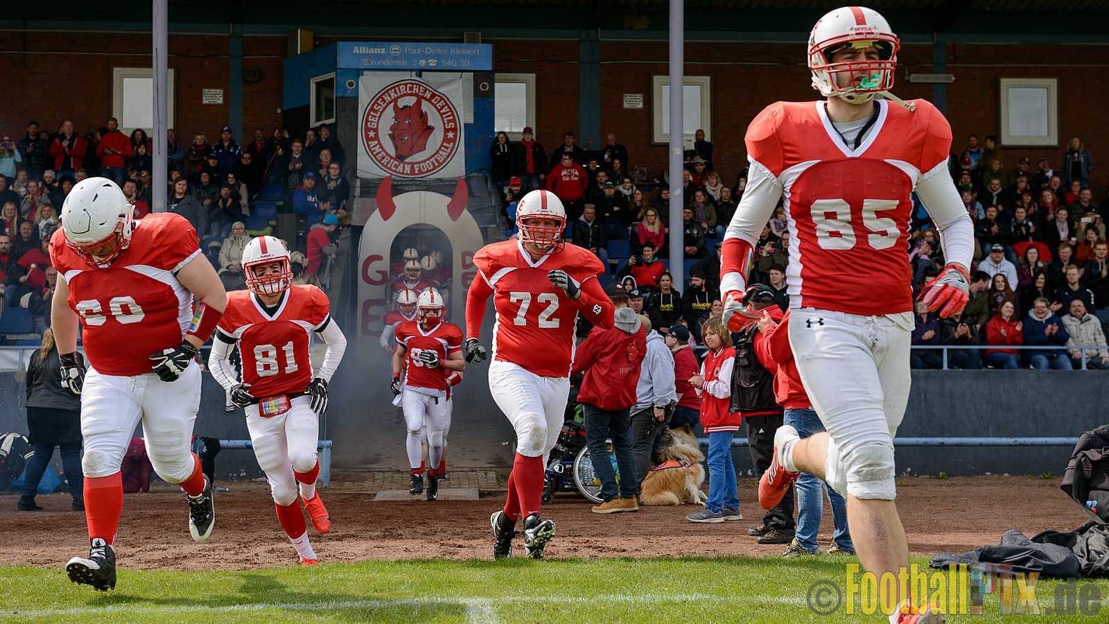 Gelsenkirchen Devils vs. Wuppertal Greyhounds - 15.04.2017 Pre-Season Game: Gelsenkirchen Devils vs. Wuppertal Greyhounds (23:16)