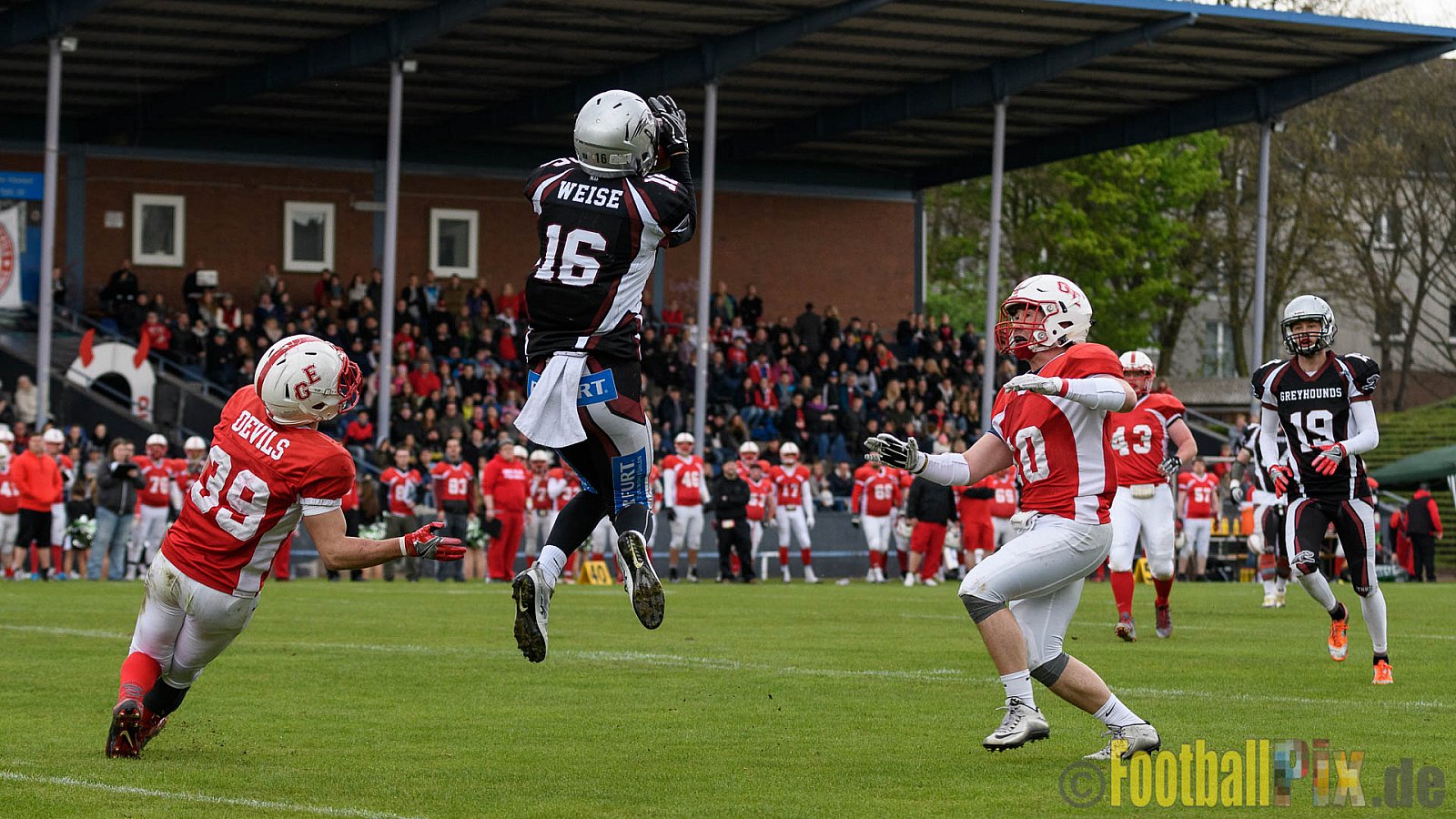 Gelsenkirchen Devils vs. Wuppertal Greyhounds - 15.04.2017 Pre-Season Game: Gelsenkirchen Devils vs. Wuppertal Greyhounds (23:16)