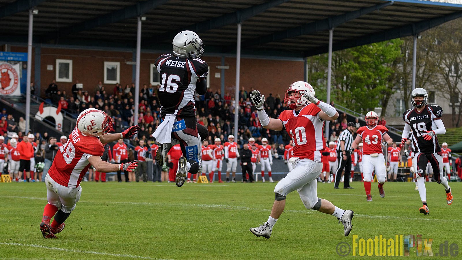 Gelsenkirchen Devils vs. Wuppertal Greyhounds - 15.04.2017 Pre-Season Game: Gelsenkirchen Devils vs. Wuppertal Greyhounds (23:16)