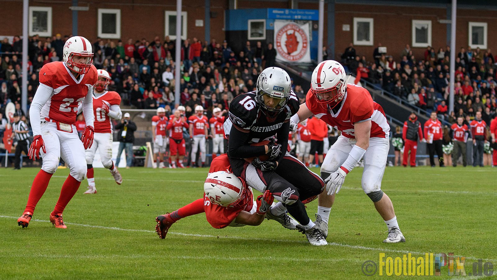 Gelsenkirchen Devils vs. Wuppertal Greyhounds - 15.04.2017 Pre-Season Game: Gelsenkirchen Devils vs. Wuppertal Greyhounds (23:16)