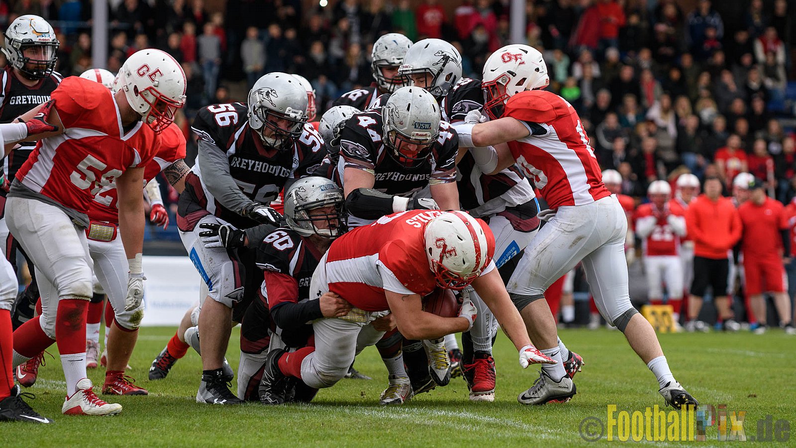 Gelsenkirchen Devils vs. Wuppertal Greyhounds - 15.04.2017 Pre-Season Game: Gelsenkirchen Devils vs. Wuppertal Greyhounds (23:16)