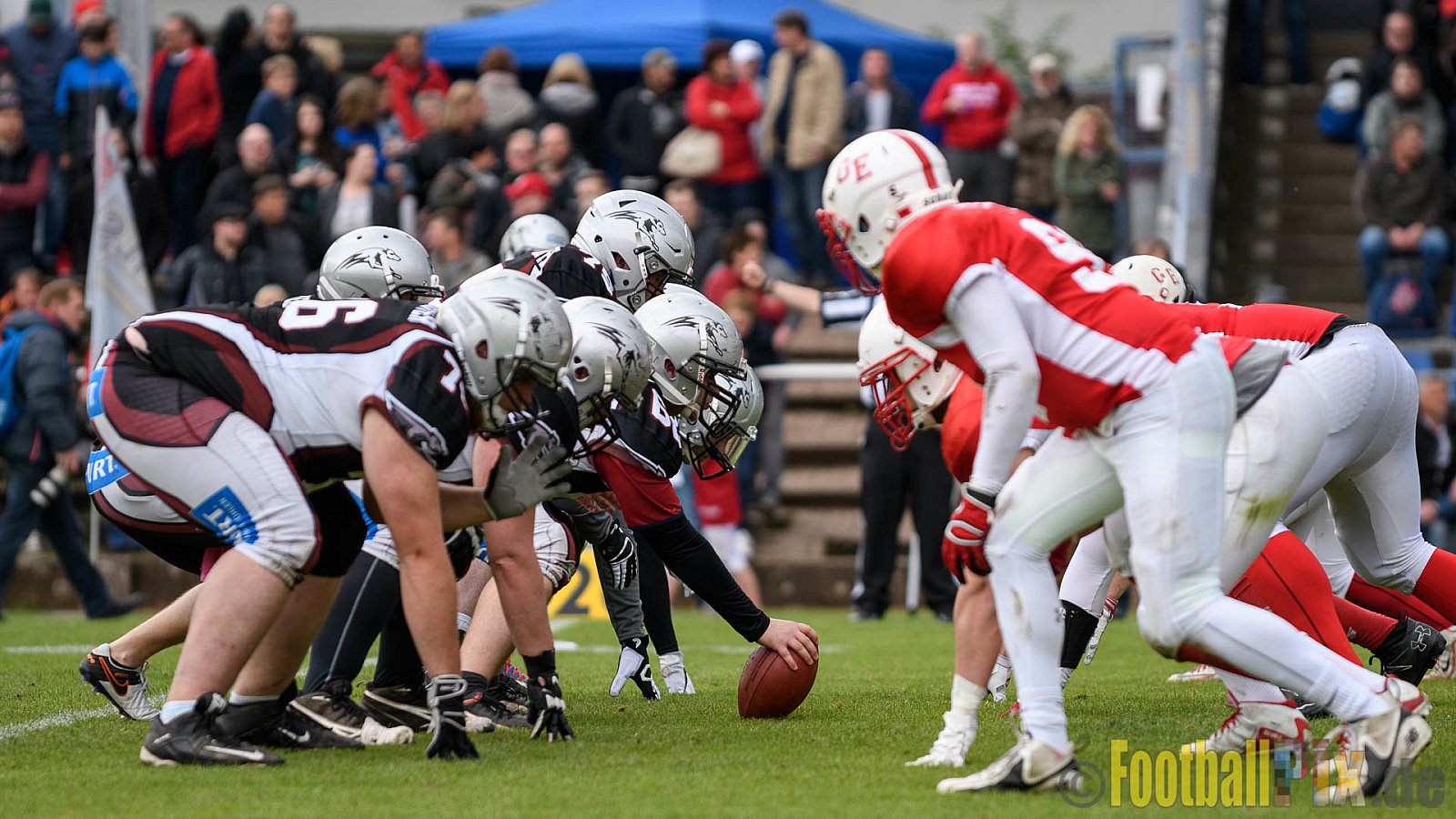 Gelsenkirchen Devils vs. Wuppertal Greyhounds - 15.04.2017 Pre-Season Game: Gelsenkirchen Devils vs. Wuppertal Greyhounds (23:16)