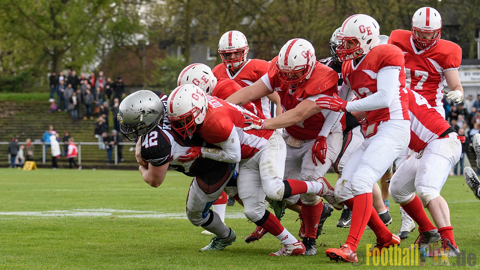 Gelsenkirchen Devils vs. Wuppertal Greyhounds - 15.04.2017 Pre-Season Game: Gelsenkirchen Devils vs. Wuppertal Greyhounds (23:16)