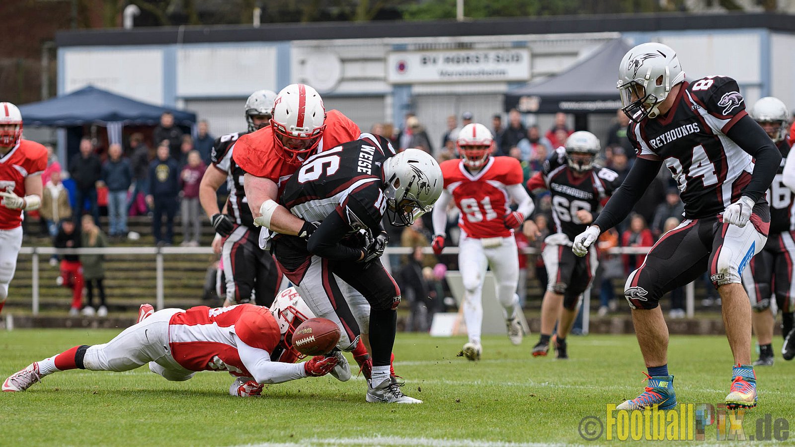 Gelsenkirchen Devils vs. Wuppertal Greyhounds - 15.04.2017 Pre-Season Game: Gelsenkirchen Devils vs. Wuppertal Greyhounds (23:16)