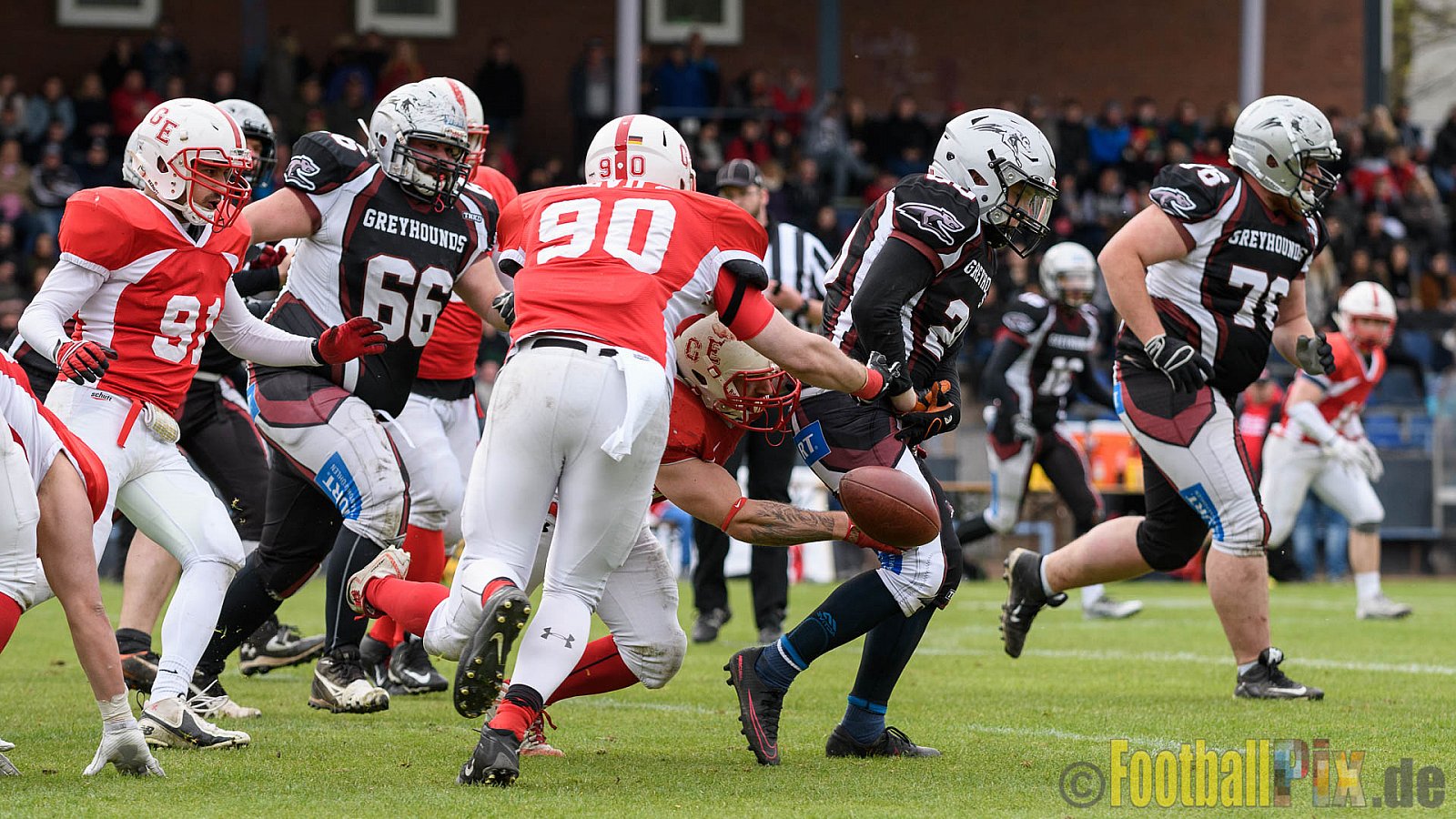 Gelsenkirchen Devils vs. Wuppertal Greyhounds - 15.04.2017 Pre-Season Game: Gelsenkirchen Devils vs. Wuppertal Greyhounds (23:16)