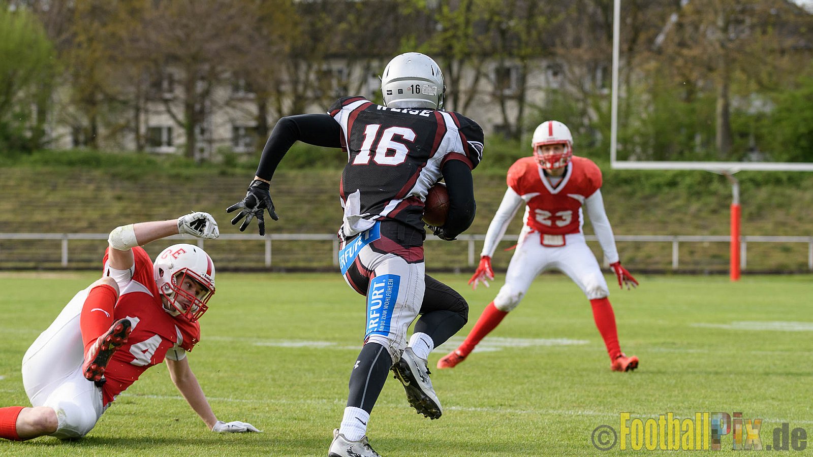 Gelsenkirchen Devils vs. Wuppertal Greyhounds - 15.04.2017 Pre-Season Game: Gelsenkirchen Devils vs. Wuppertal Greyhounds (23:16)