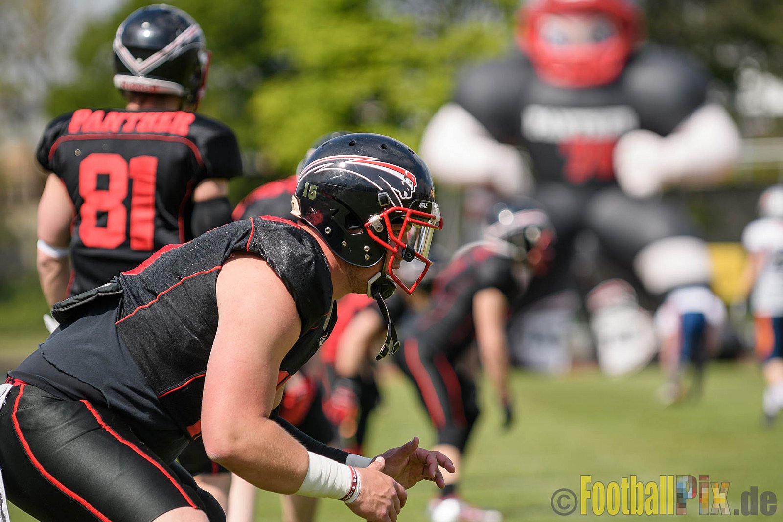 Düsseldorf Panther vs. Rostock Griffins - 29.04.2017 GFL2: Düsseldorf Panther vs. Rostock Griffins (39:14)