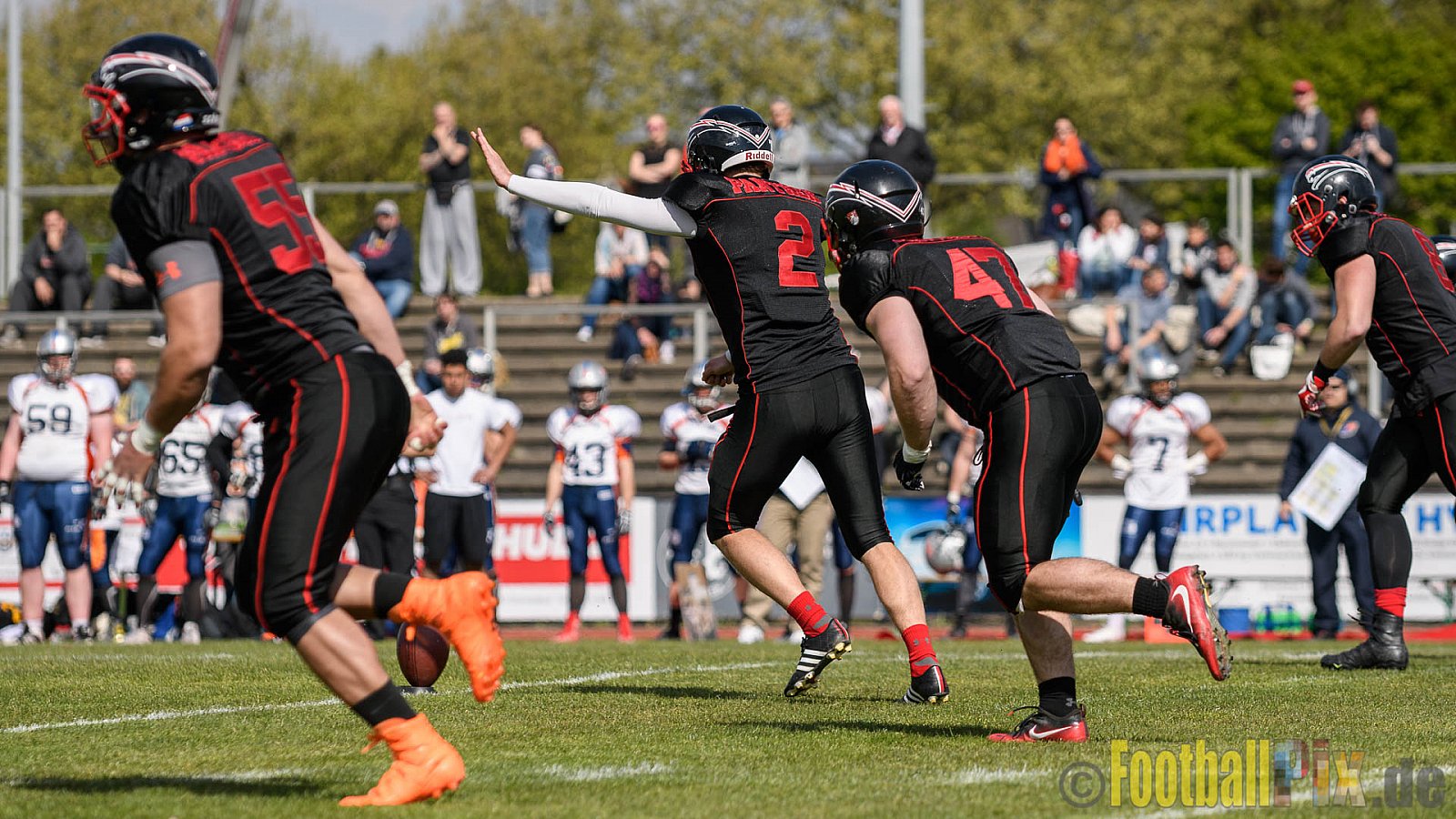 Düsseldorf Panther vs. Rostock Griffins - 29.04.2017 GFL2: Düsseldorf Panther vs. Rostock Griffins (39:14)