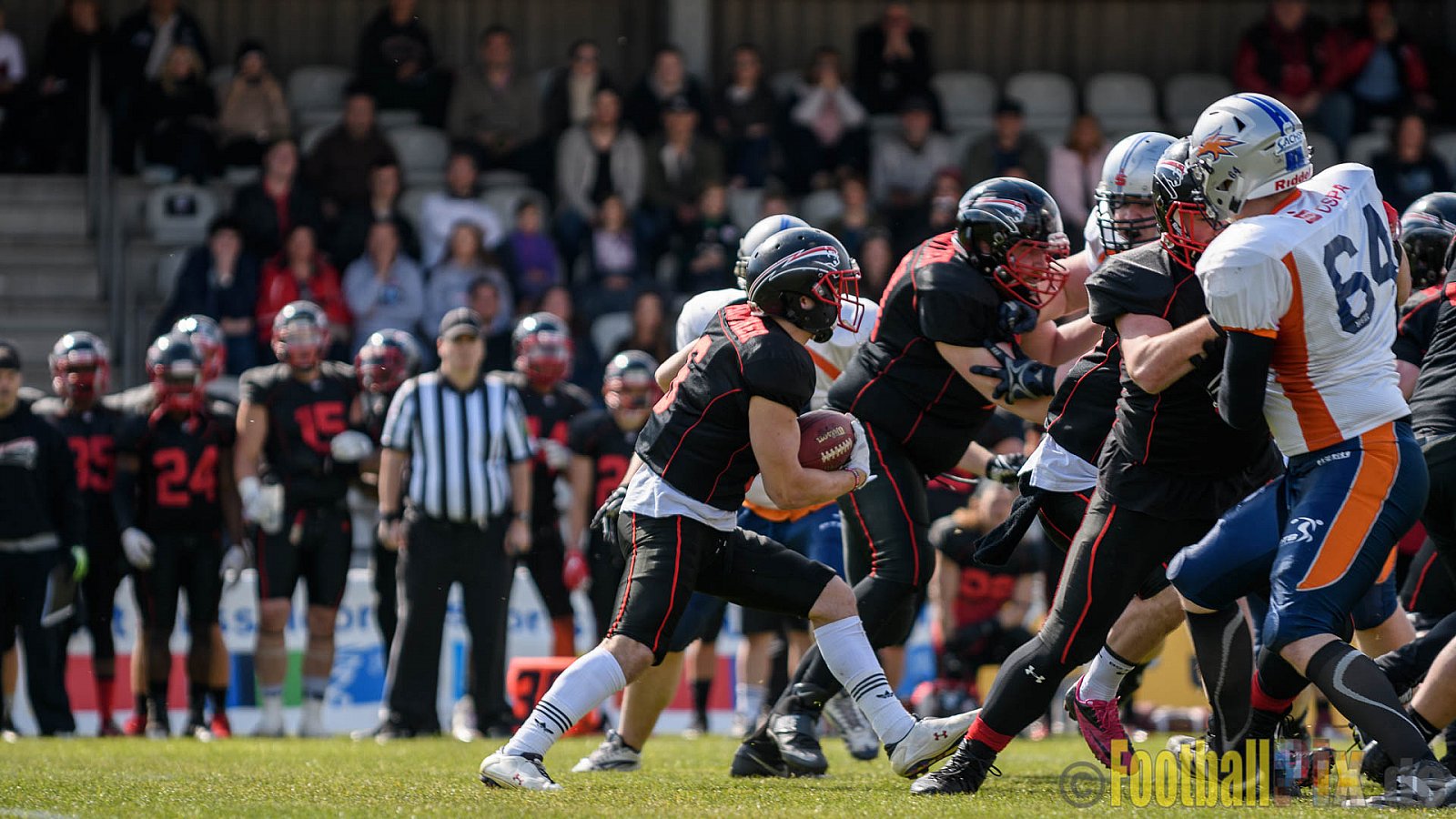 Düsseldorf Panther vs. Rostock Griffins - 29.04.2017 GFL2: Düsseldorf Panther vs. Rostock Griffins (39:14)