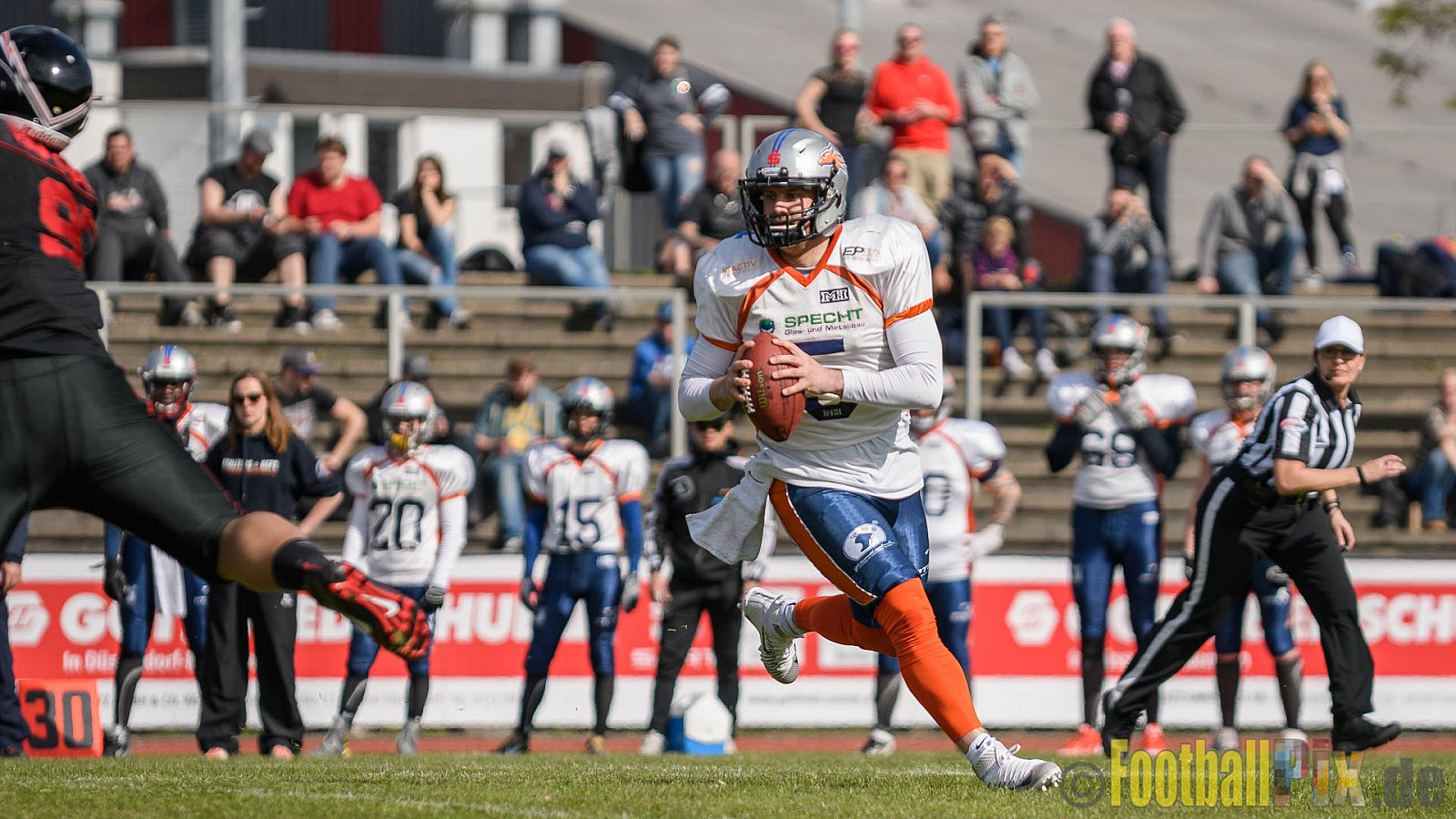 Düsseldorf Panther vs. Rostock Griffins - 29.04.2017 GFL2: Düsseldorf Panther vs. Rostock Griffins (39:14)