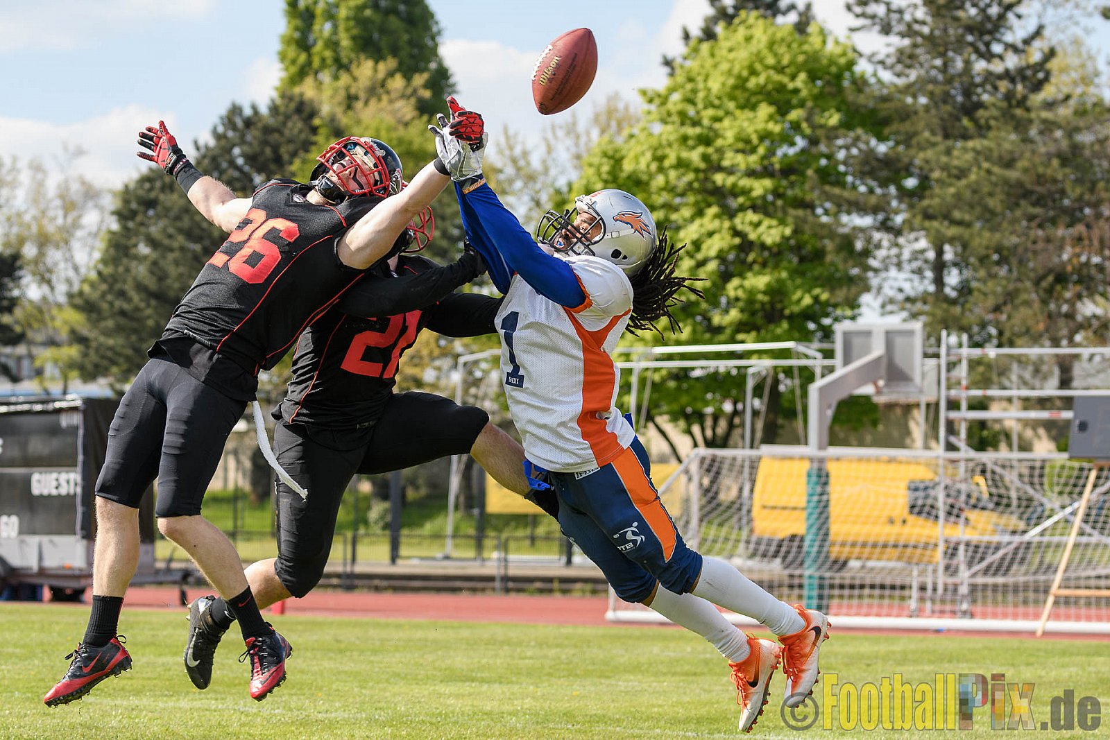 Düsseldorf Panther vs. Rostock Griffins - 29.04.2017 GFL2: Düsseldorf Panther vs. Rostock Griffins (39:14)