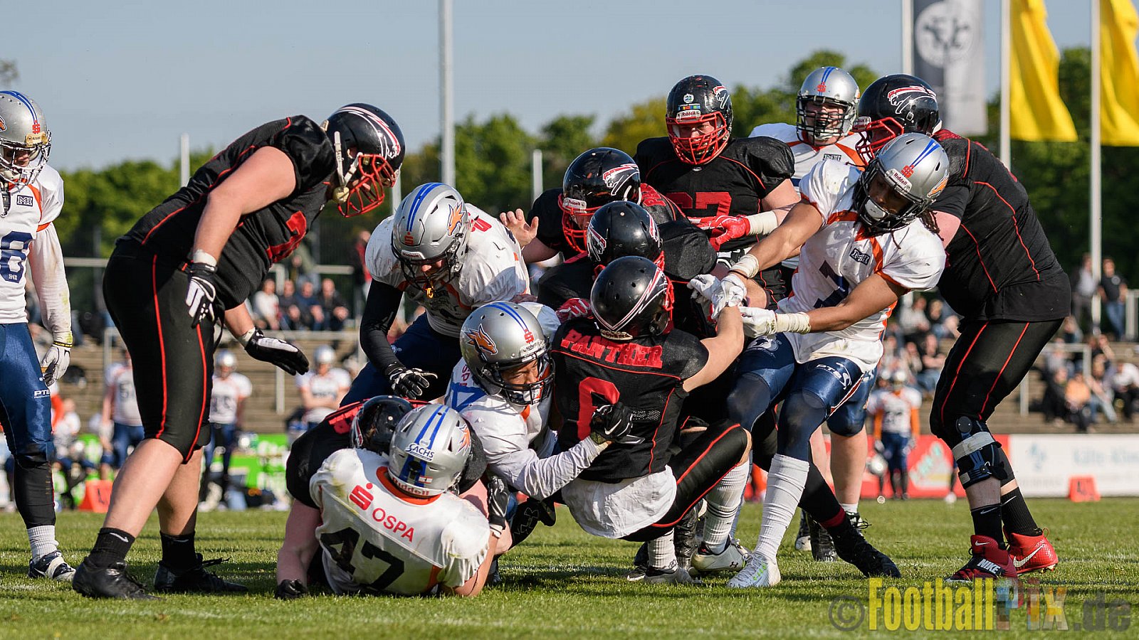 Düsseldorf Panther vs. Rostock Griffins - 29.04.2017 GFL2: Düsseldorf Panther vs. Rostock Griffins (39:14)