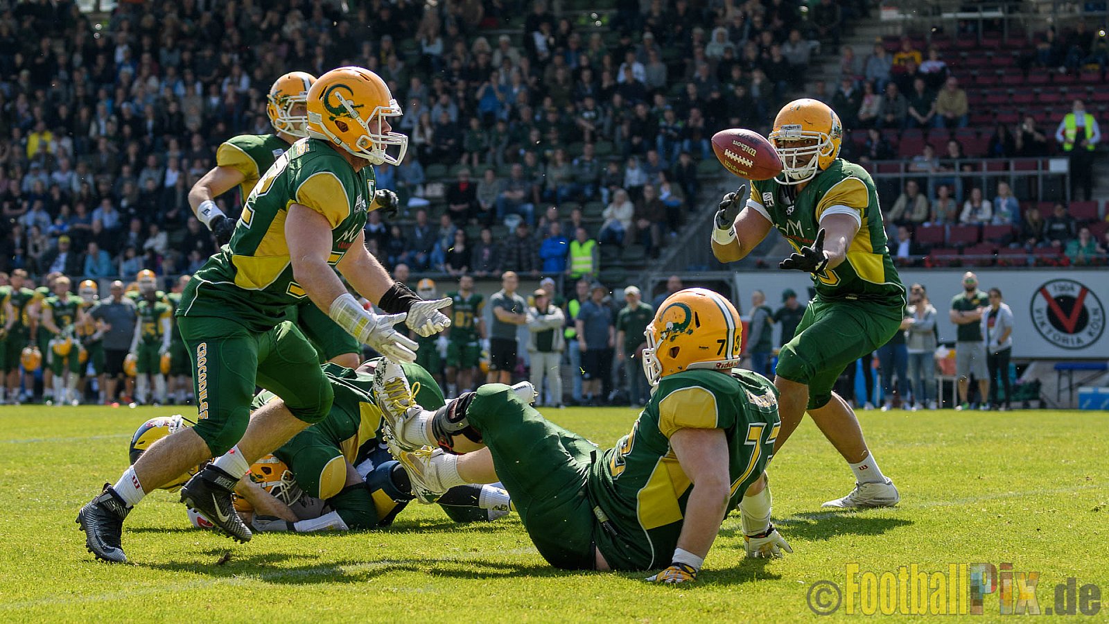 Cologne Crocodiles vs. Hildesheim Invaders - 30.04.2017 GFL Nord: Cologne Crocodiles vs. Hildesheim Invaders (41:26)