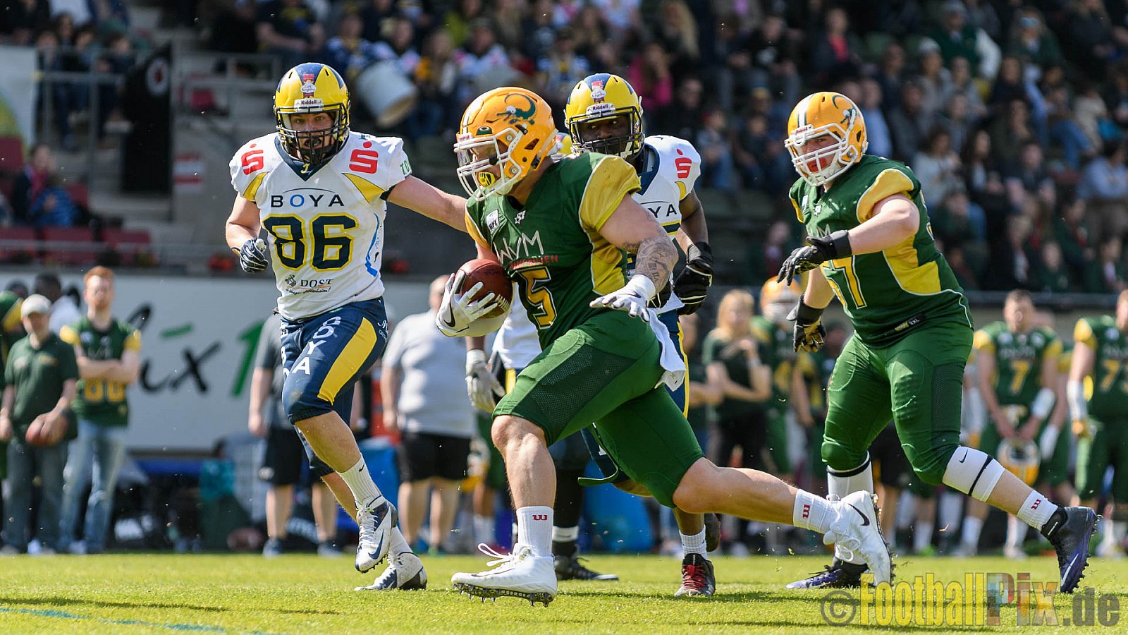 Cologne Crocodiles vs. Hildesheim Invaders - 30.04.2017 GFL Nord: Cologne Crocodiles vs. Hildesheim Invaders (41:26)