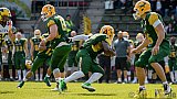 Cologne Crocodiles vs. Hildesheim Invaders - 30.04.2017 GFL Nord: Cologne Crocodiles vs. Hildesheim Invaders (41:26)