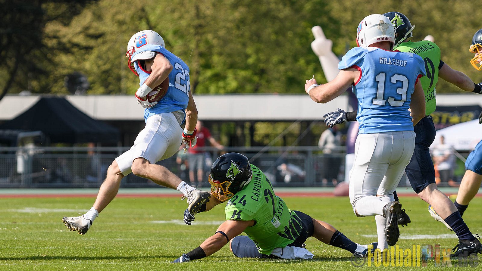 Essen Assindia Cardinals vs. Bonn Gamecocks - 06.05.2017 GFL2: Essen Assindia Cardinals vs. Bonn Gamecocks (35:18)
